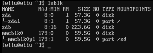 Console output from lsblk showing three disks, where sdb is the SSD