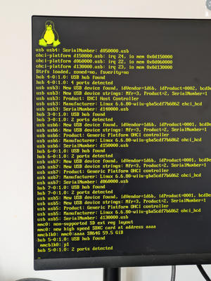 Linux console output. But it's yellow.